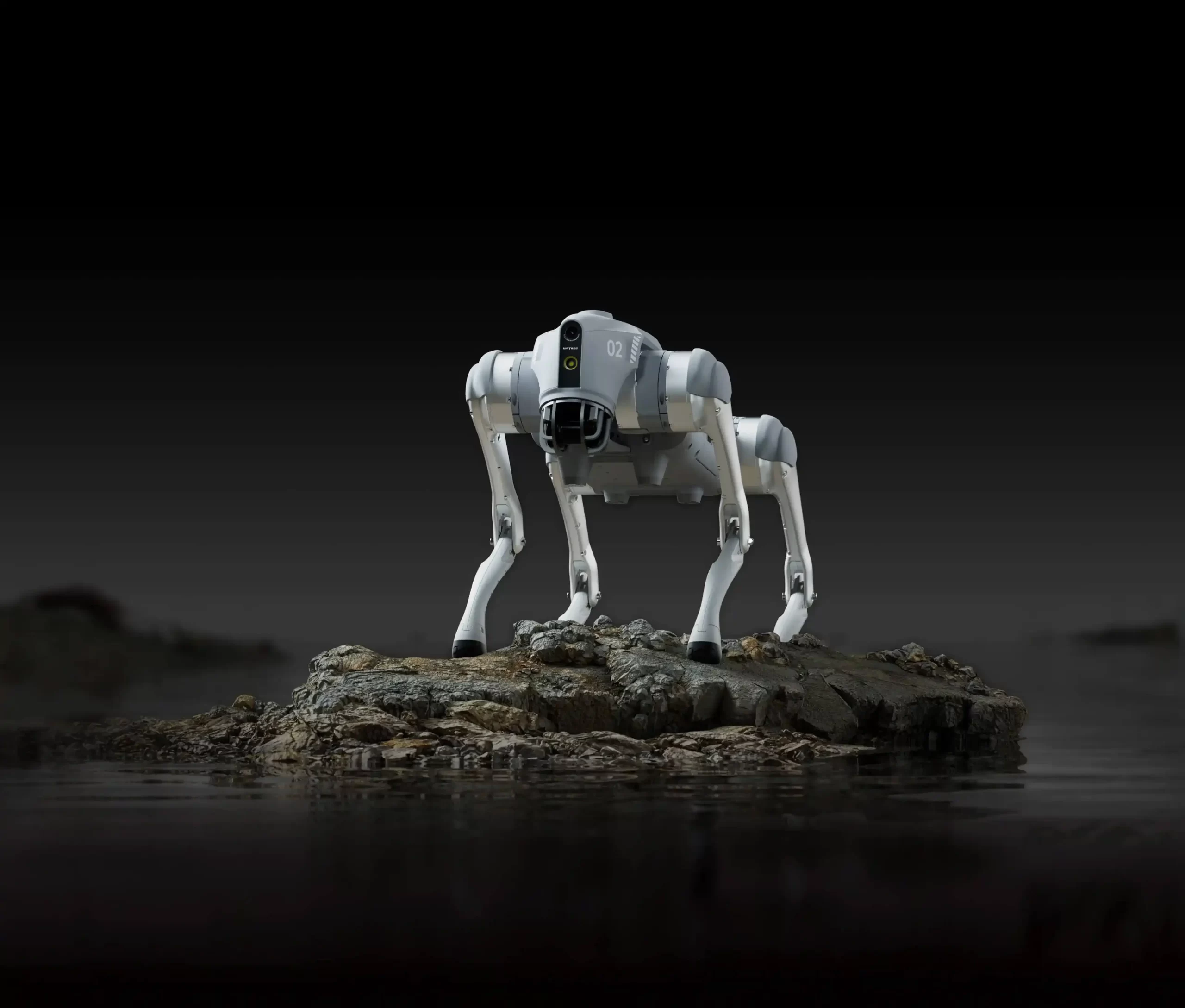 Robot-dog